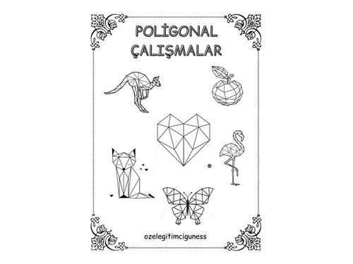 POLİGONAL ÇALIŞMALAR