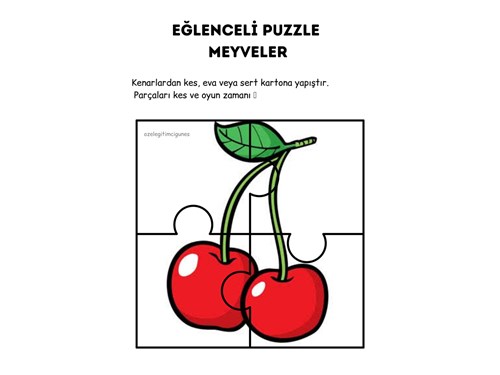 MEYVELER- 4LÜ PUZZLE